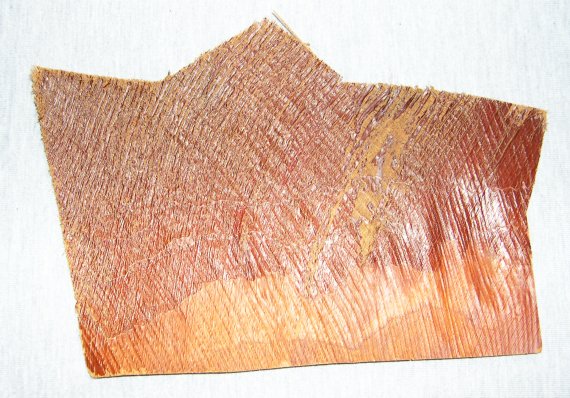 D&eacute;tail de la fibre de palmier