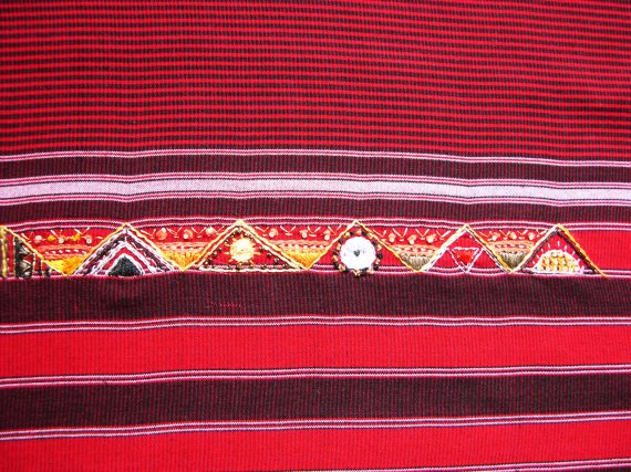 D&eacute;tail des broderies 2